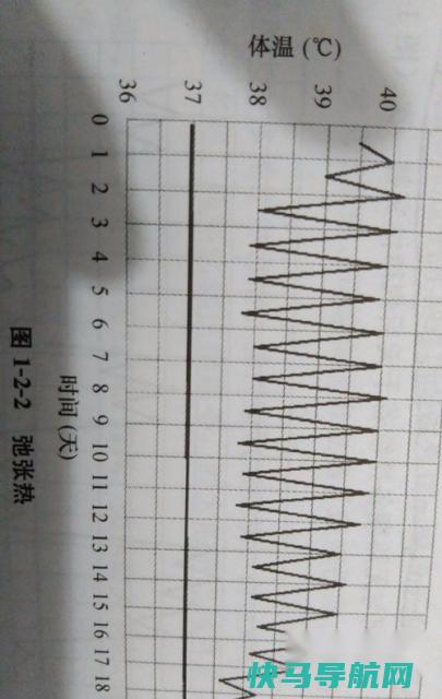 如何分辨发热类型 第3张