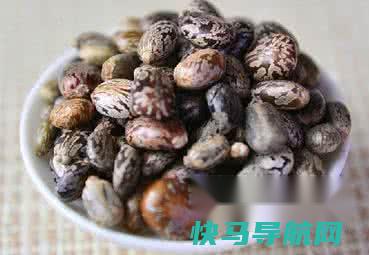 鸡眼怎么根治不复发 第4张